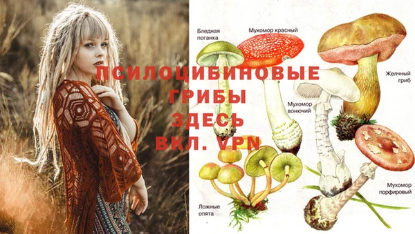 герыч Новозыбков