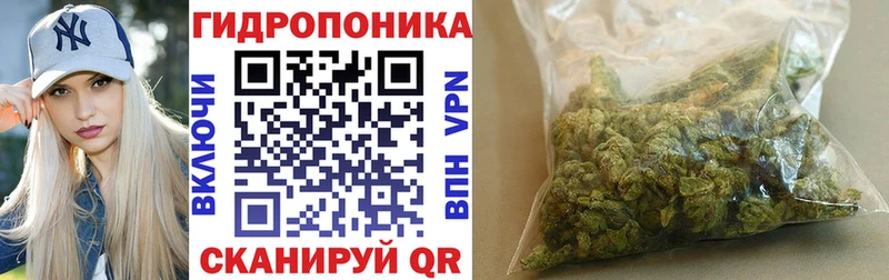 Шишки марихуана конопля Райчихинск